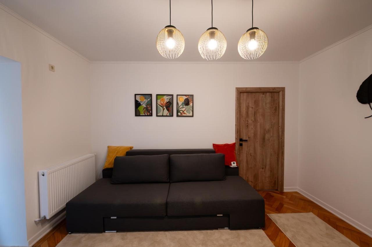 Fortuna Apartments Baia Mare Bagian luar foto