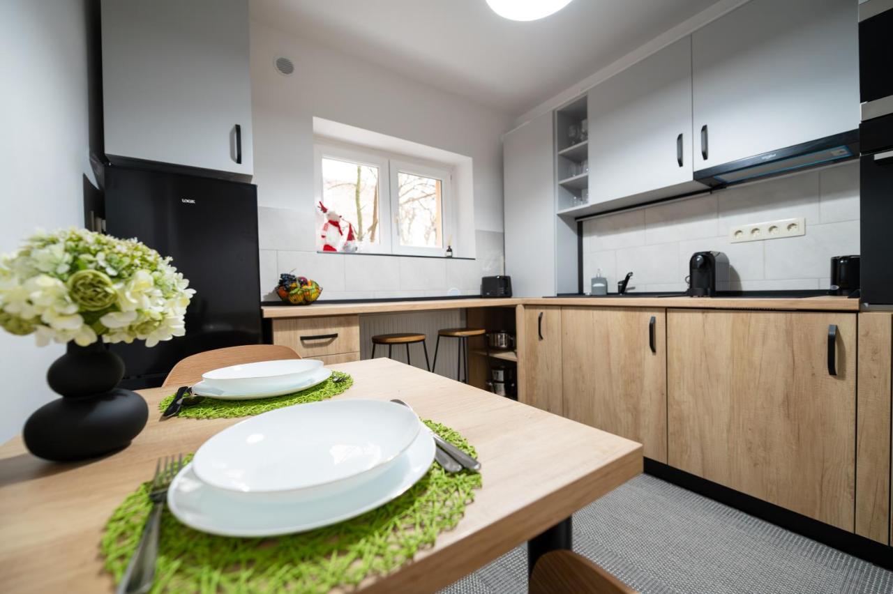 Fortuna Apartments Baia Mare Bagian luar foto