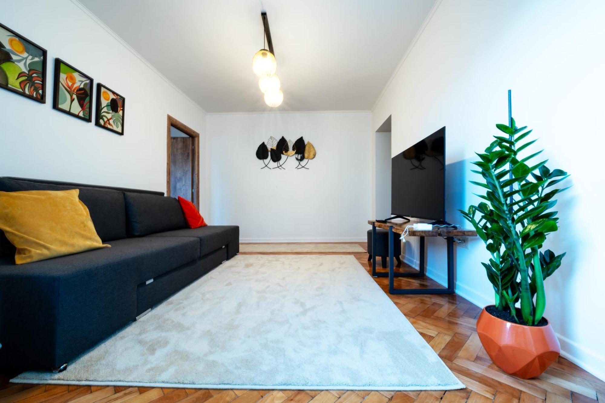 Fortuna Apartments Baia Mare Bagian luar foto